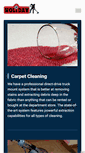 Mobile Screenshot of holidaycleaningservices.com